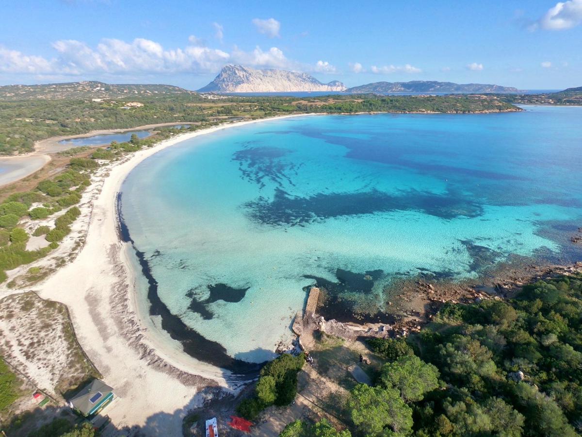 Iss Travel, La Ginestra - 2-Bedroom Apartment With Terrace And View Over Tavolara Island San Teodoro  Exteriör bild