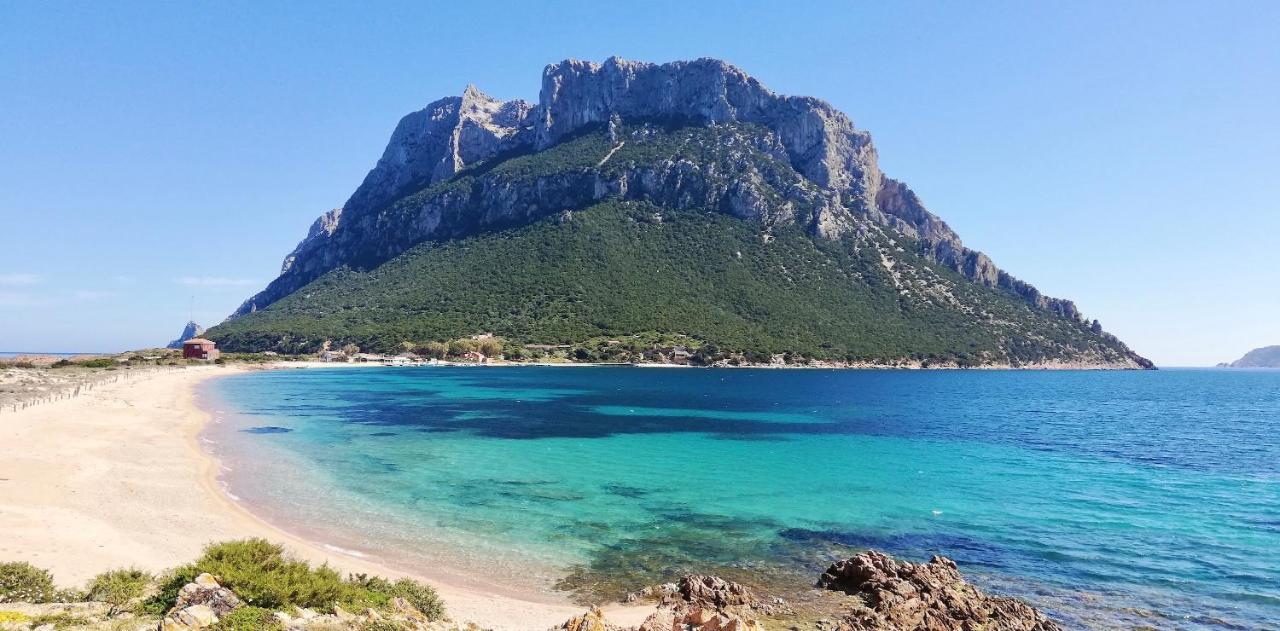 Iss Travel, La Ginestra - 2-Bedroom Apartment With Terrace And View Over Tavolara Island San Teodoro  Exteriör bild