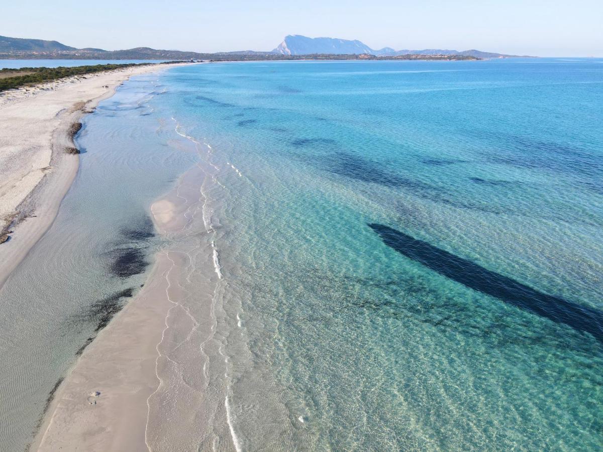 Iss Travel, La Ginestra - 2-Bedroom Apartment With Terrace And View Over Tavolara Island San Teodoro  Exteriör bild
